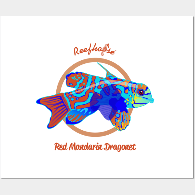 Red Mandarin Dragonet Wall Art by Reefhorse